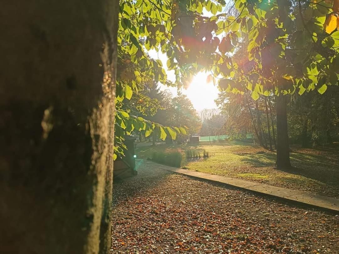 Déjá Vu Szállás&Rendezvény Zirc Exterior foto